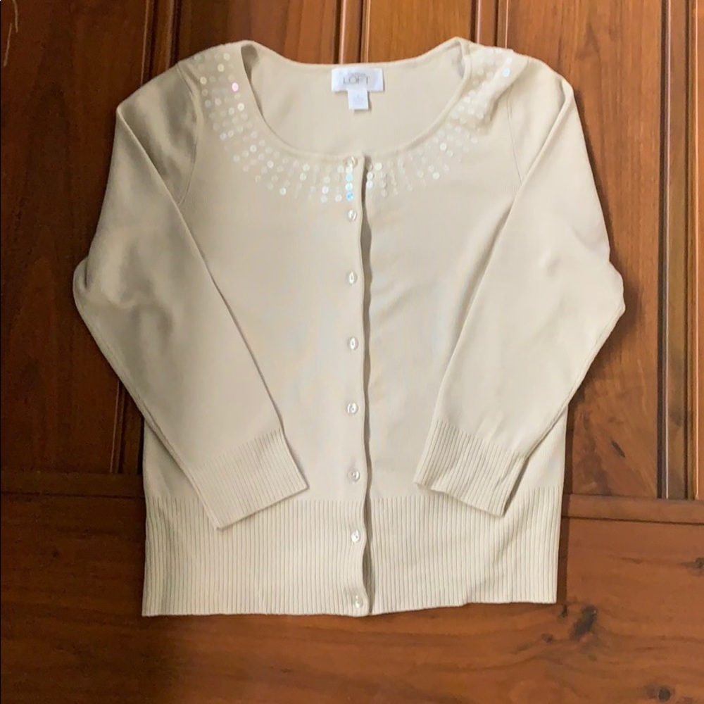 Ann Taylor sweater